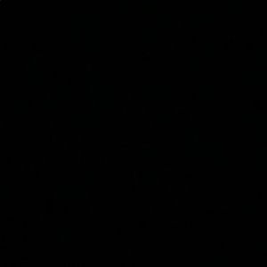 Meet your Posher, Jaylene